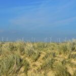 UK Taxation of Wind Farms: Is It the Right Move for Denmark?