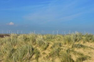 UK taxation of wind farms
